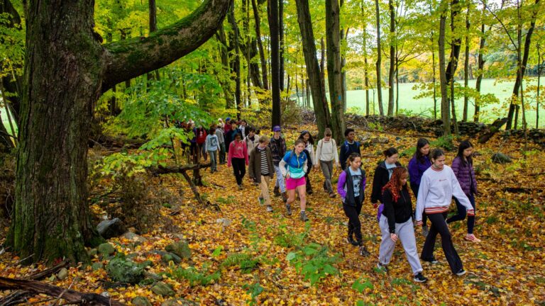 A large group of students walking together on a trail in the woods