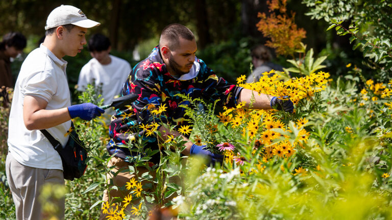 Students working in the bee-friendly garden