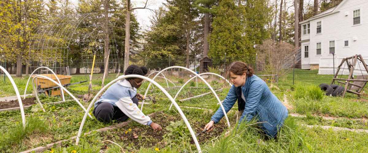 Students practicing sustainable gardening