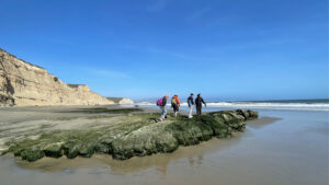 Students walking on a rock on the beach