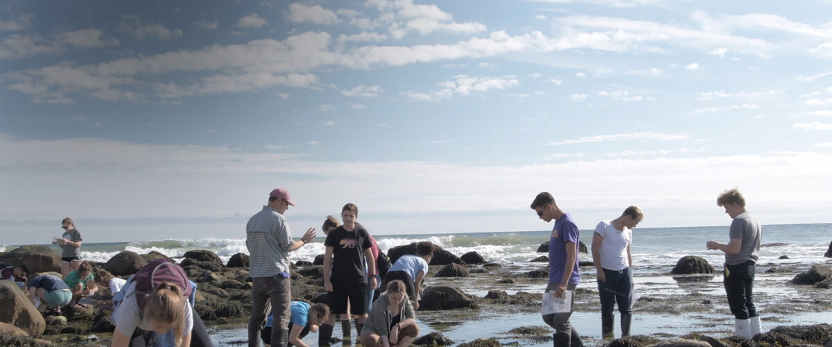 Students conducting research in shallow water on a coast