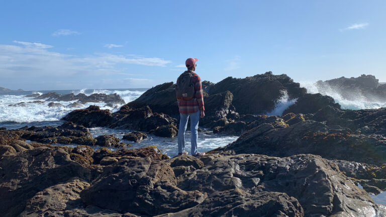 A student standing on elevated rocks by a shore