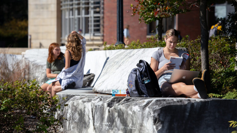 students studying outside on a sunny day