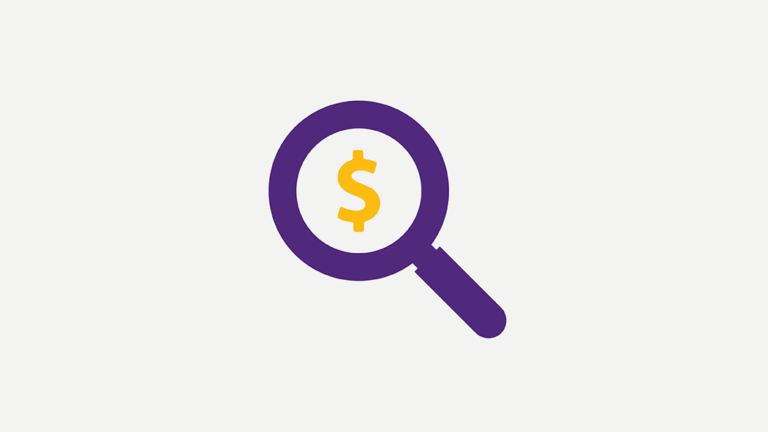icon of a magnifying glass over a dollar bill