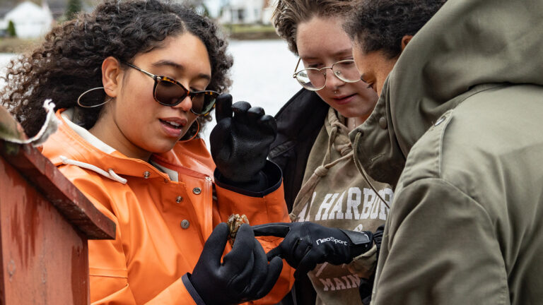 Williams Mystic students examining a crab