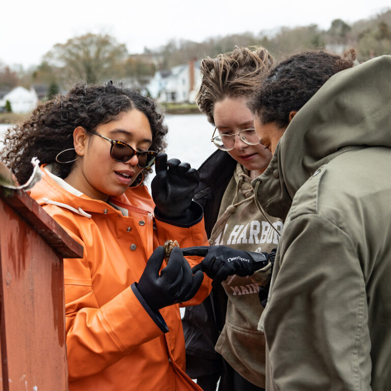 Williams Mystic students examining a crab