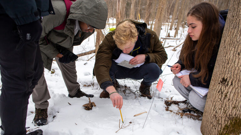 students examining animal tracks in winter snow