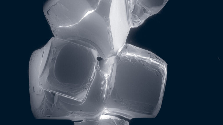 A microscope slide of recrystallized salt