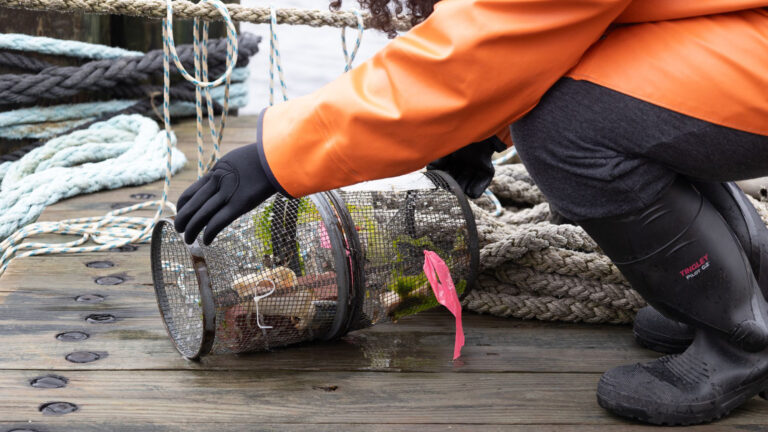 Students collecting samples from the ocean during the CaOS Climate and Community Leaders program