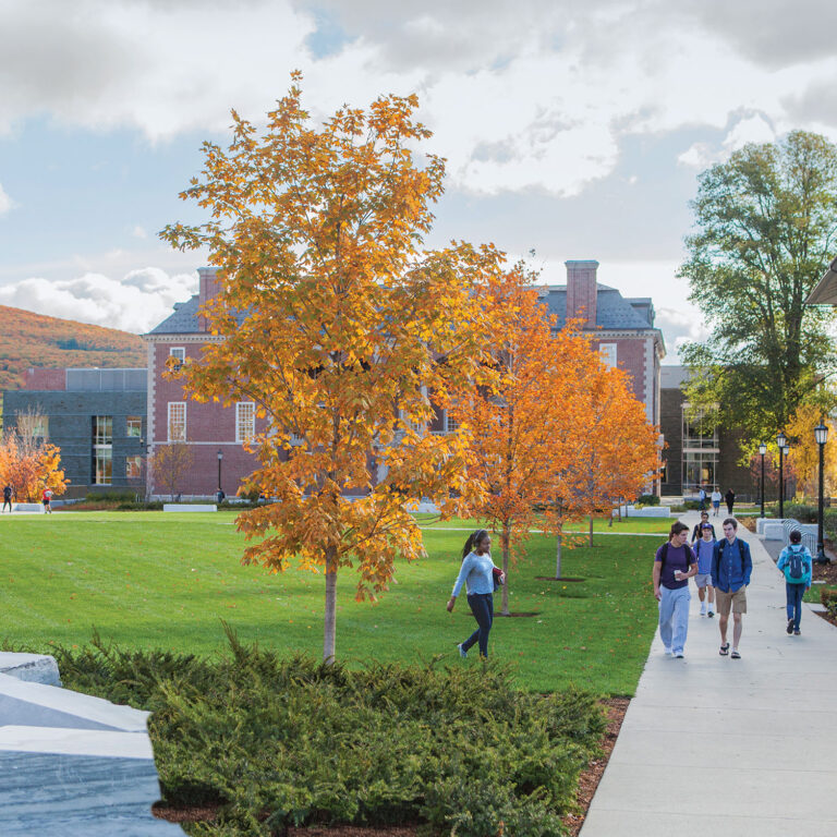 Students walking on a path in Sawyer quad