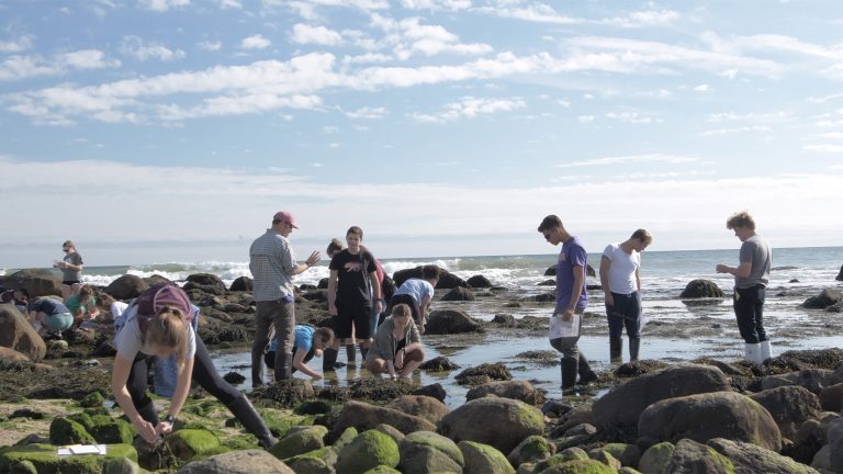 Students conducting research in shallow water on a coast