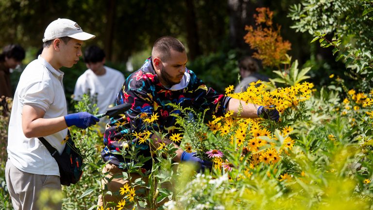 Students plant sustainable, pollinator-plants on campus