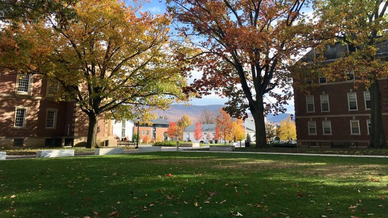 frosh quad in the fall