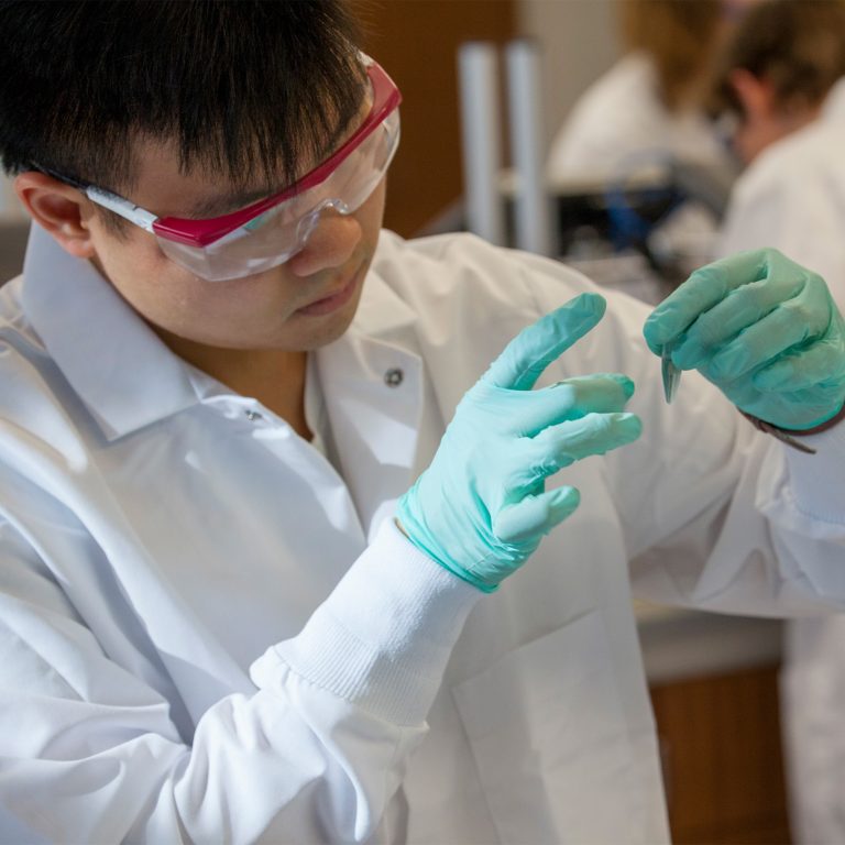 A student working in a Biology lab