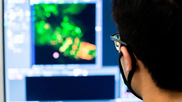 A student doing data visualization in a computer lab
