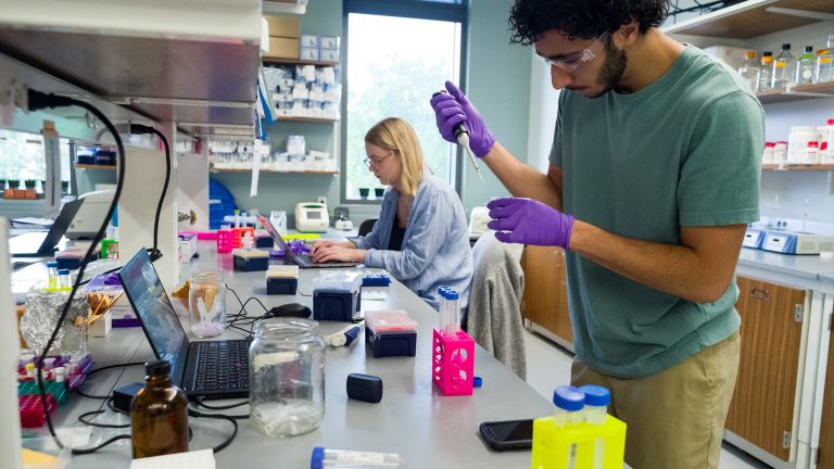 A student conducts research in a lab