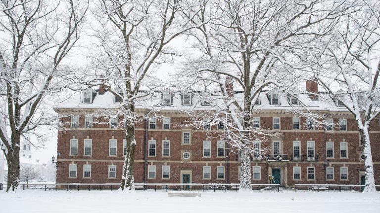 Snow covered trees in front of a campus building