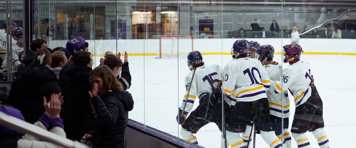 fans watching a hockey game