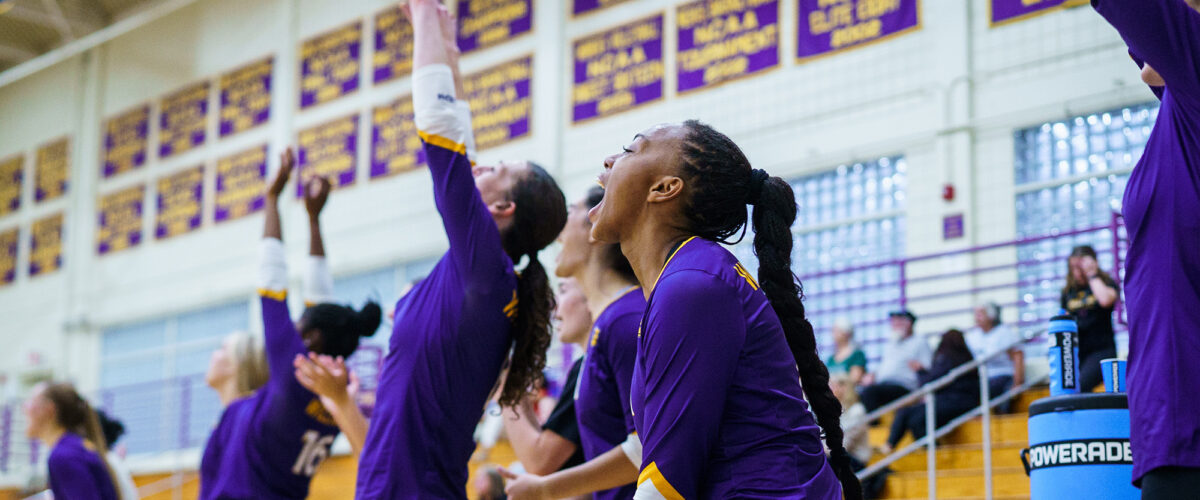 Players cheering on the volleyball court